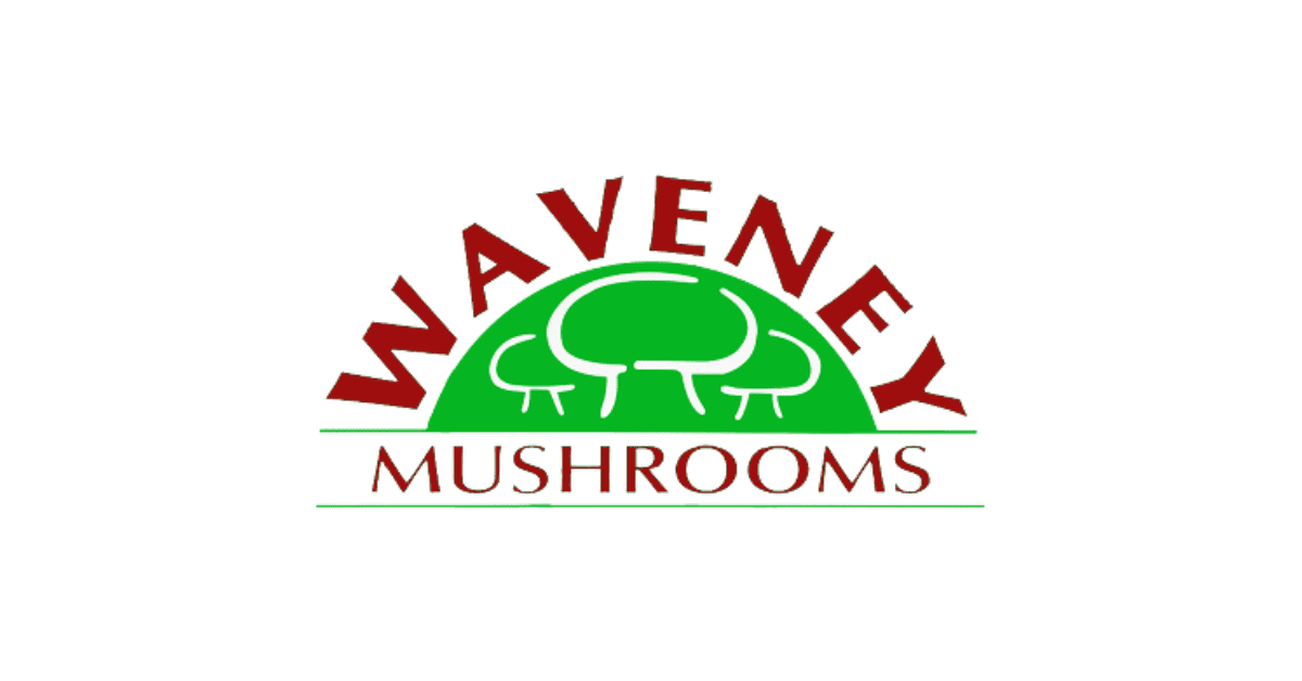 Waveney Mushrooms